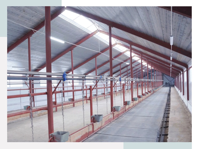 Строительство коровников в Анапе от 623 руб.