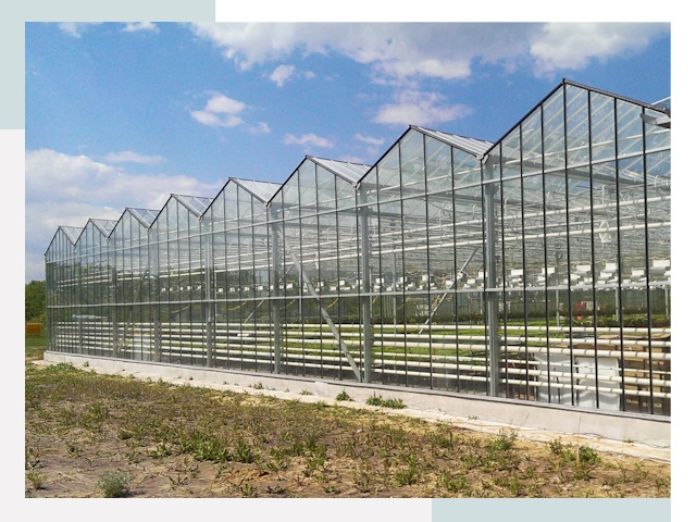 Строительство теплиц в Анапа от 623 руб. за м²